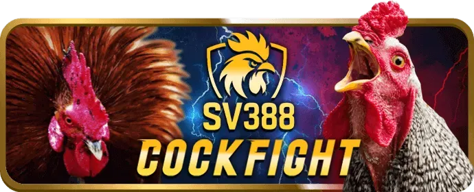 Đá gà Campuchia N88